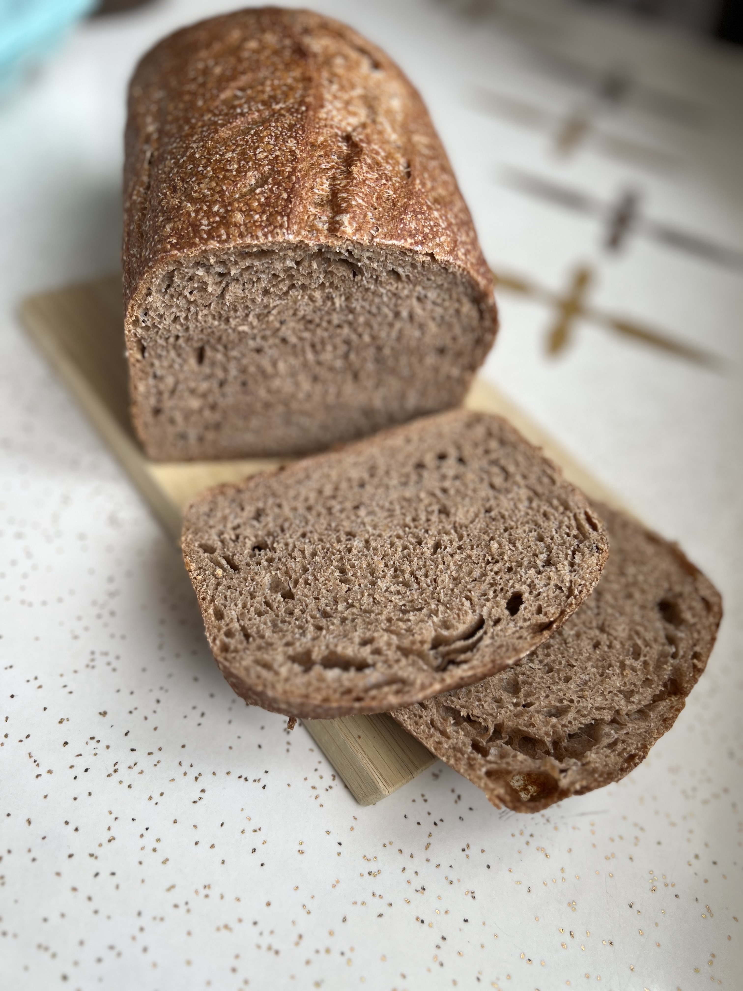 Whole Wheat Sourdough Loaf